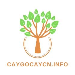 caygocaycn.info